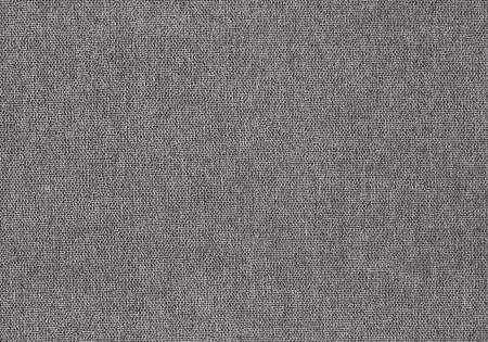 22 - dolphin 22 - dolphin