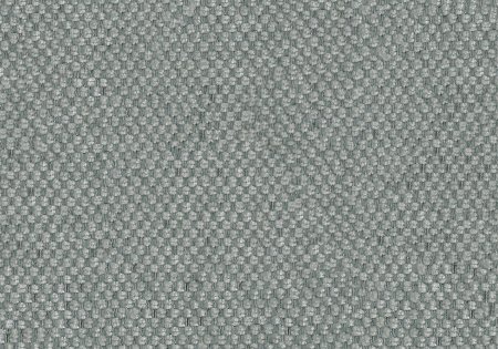 22 - dolphin 22 - dolphin