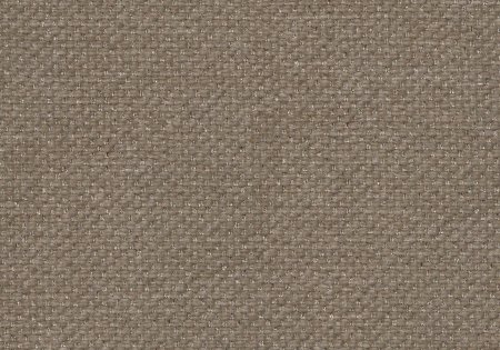 50 - sahara 50 - sahara