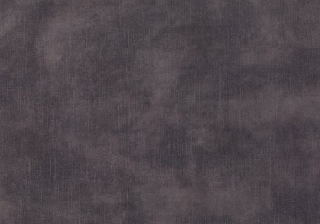 22 - dolphin 22 - dolphin