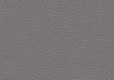 22 - elephant 22 - elephant