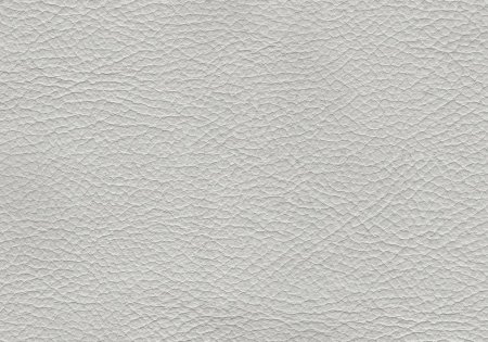 43 - greige 43 - greige