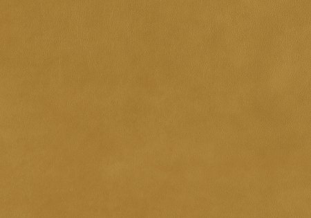 52 - kurkuma 52 - kurkuma