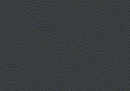 39 - forest 39 - forest