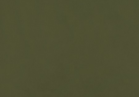 35 - olive 35 - olive