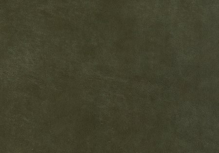 36 - olive 36 - olive