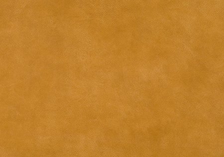 52 - kurkuma 52 - kurkuma