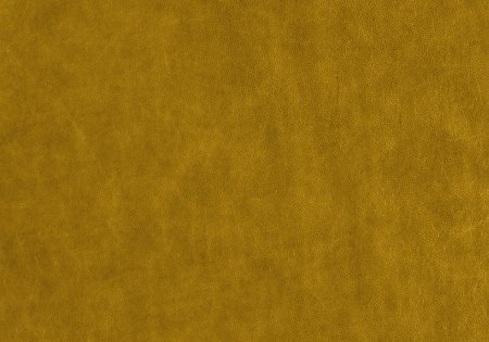 52 - curcuma 52 - curcuma