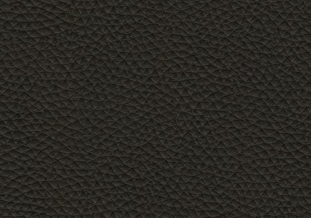 39 - forest 39 - forest