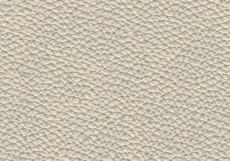 43 - ivory 43 - ivory