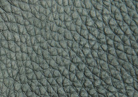 26 - eucalyptus 26 - eucalyptus